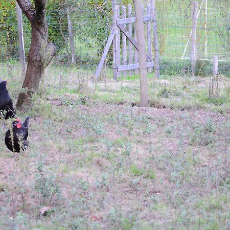 Ecogite Rural La Cle Des Champs Peyrelongue-Abos 外观 照片