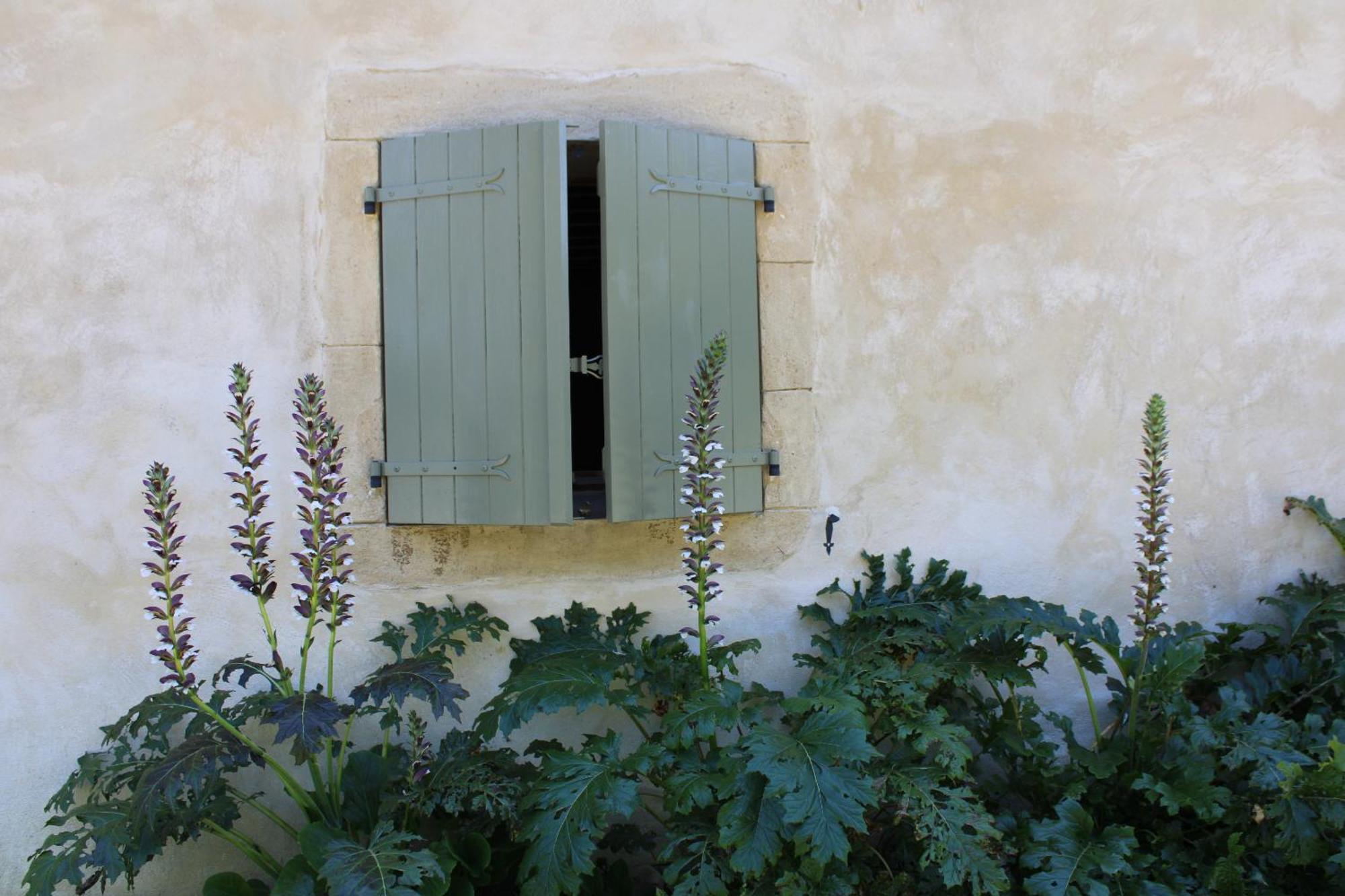 Ecogite Rural La Cle Des Champs Peyrelongue-Abos 客房 照片