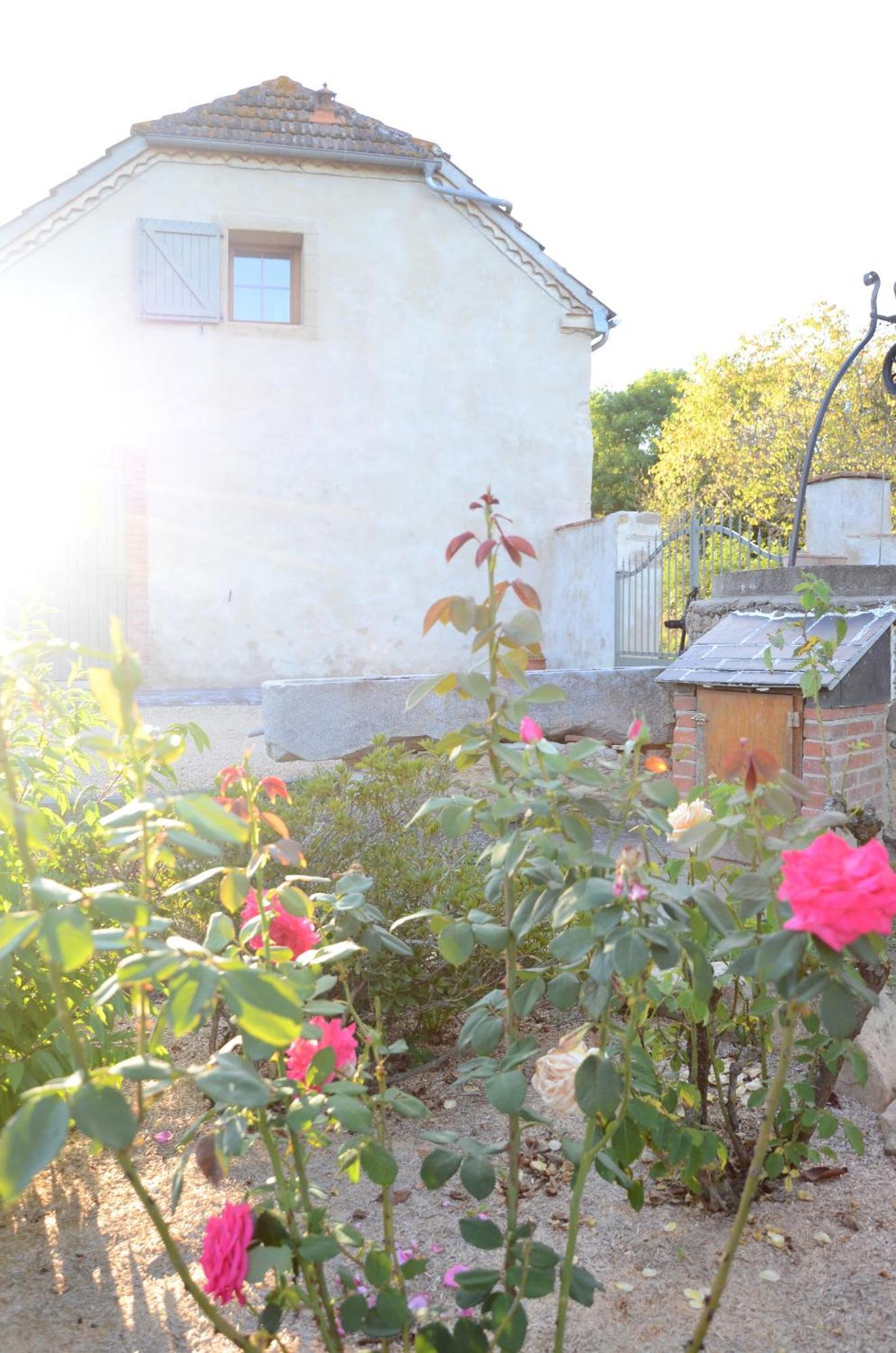 Ecogite Rural La Cle Des Champs Peyrelongue-Abos 客房 照片