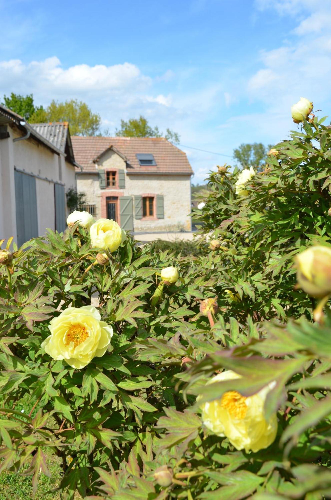 Ecogite Rural La Cle Des Champs Peyrelongue-Abos 外观 照片