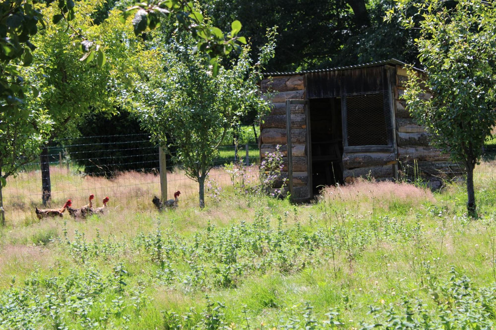 Ecogite Rural La Cle Des Champs Peyrelongue-Abos 客房 照片