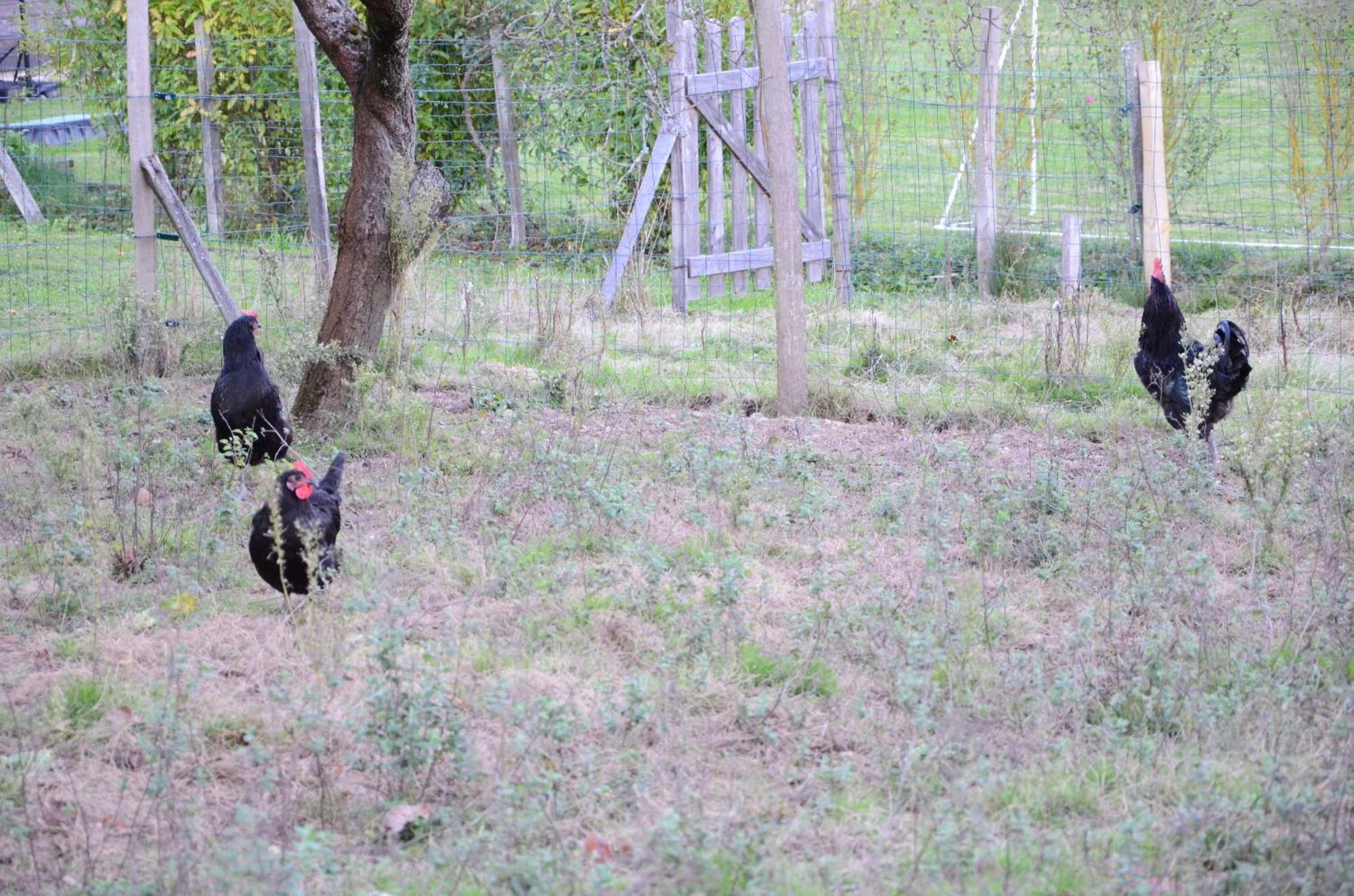 Ecogite Rural La Cle Des Champs Peyrelongue-Abos 外观 照片